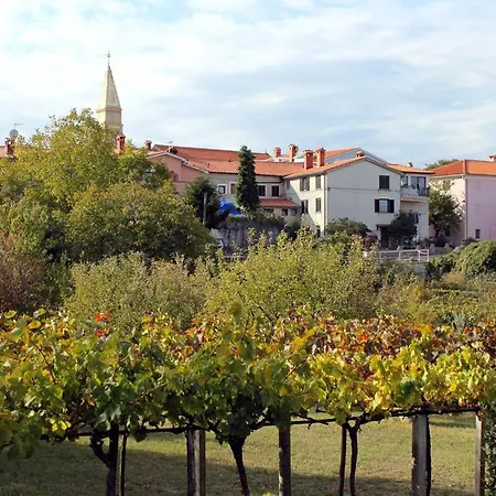 Family Friendly With A Swimming Pool Nedescina, Central Istria - Sredisnja Istra - 7455 Nedeščina